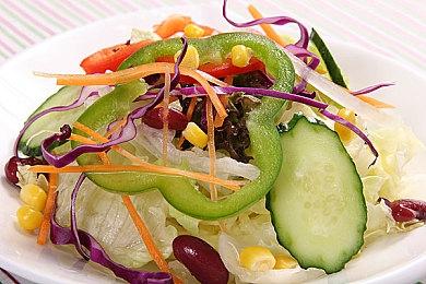 《艾尔登法环：黑夜君临》用新移动技术 取代传统骑行